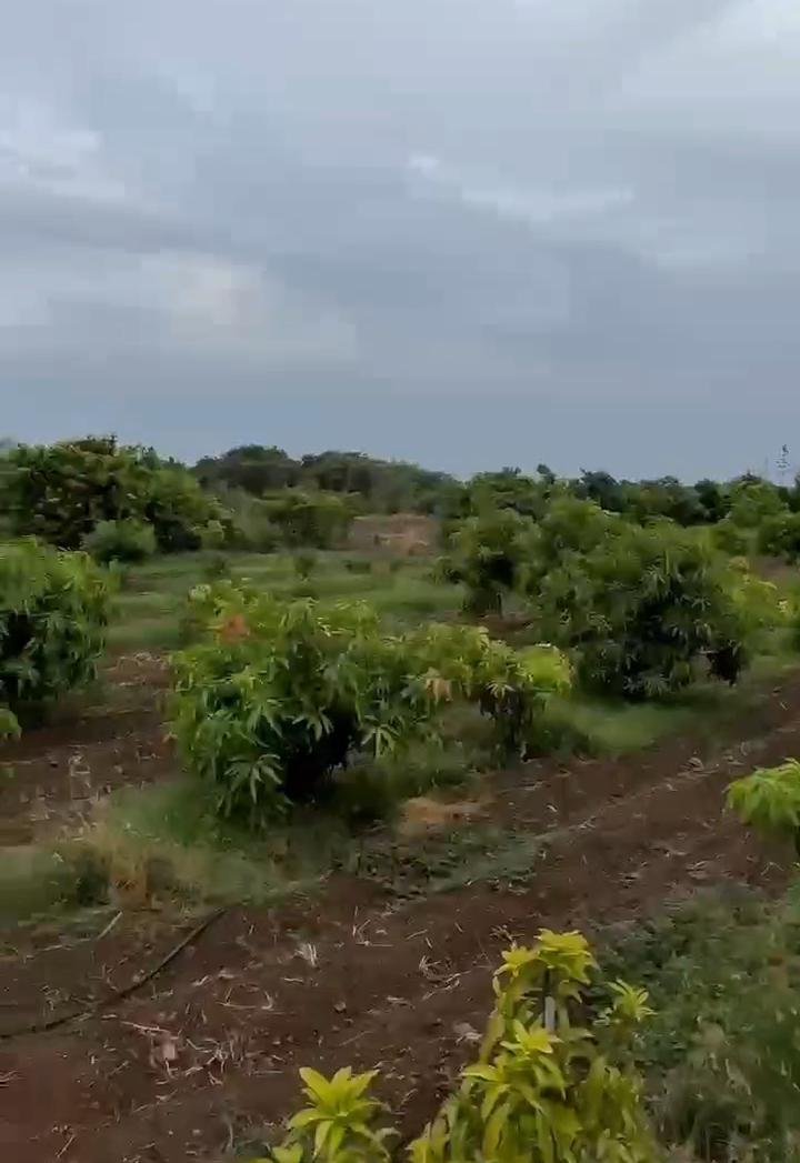 Land for Sale 6 Acre Best for Farming